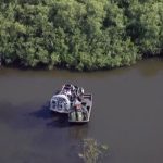 A kayaker was killed by an alligator in Central Florida, the authorities say