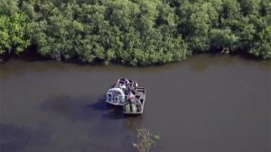 A kayaker was killed by an alligator in Central Florida, the authorities say