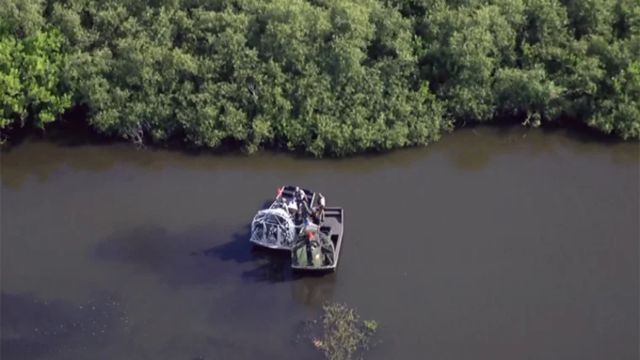 A kayaker was killed by an alligator in Central Florida, the authorities say