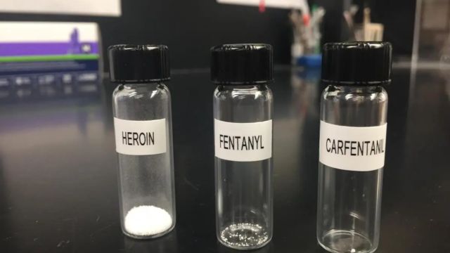 Deputies NC Couple Caught With Deadly Fentanyl Stash for 13,000 Fatal Doses
