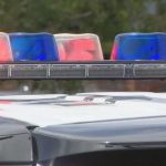 Las Vegas Man with History of Animal Cruelty Arrested After Four Dogs Die in Hot Car