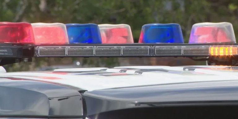 Las Vegas Man with History of Animal Cruelty Arrested After Four Dogs Die in Hot Car