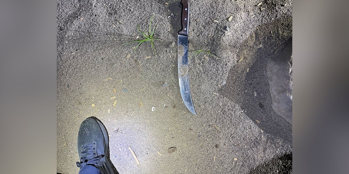 Multiple arrests were made when a rowdy mob attacked the Portland ICE facility with fireworks and knives