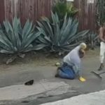 Violent squatters terrorize a posh Southern California neighborhood